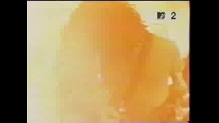 The Flaming Lips - She Dont Use Jelly
