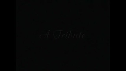 Linkin Park Parody the Best