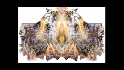 Braincell - Anti Gravity