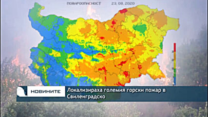 Локализираха големия горски пожар в Свиленградско