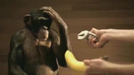 Korn - Evolution