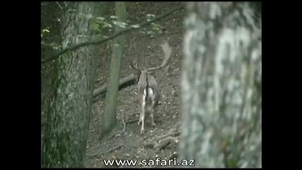 Hungary hunting part 1 
