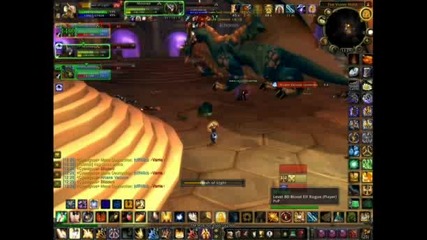 Holy Paladin - Emeriss 