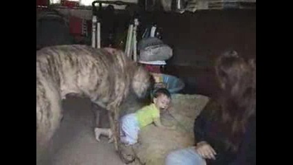 Приятелство