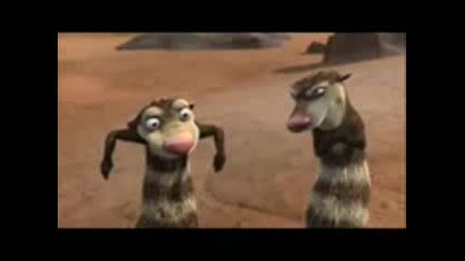 Funny Squriells