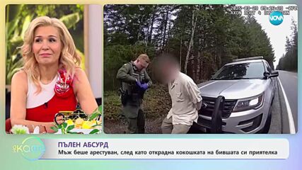 Мъж беше арестуван, след като открадна кокошката на бившата си приятелка - „На кафе“ (09.04.2025)