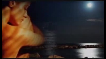 Stone Sour - Taciturn