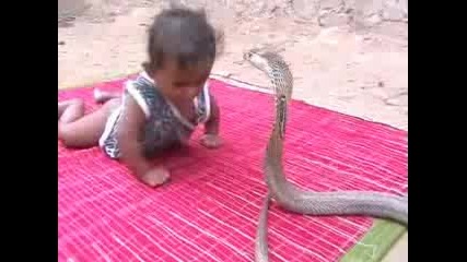 !!! Бебе си играе със змия !!! 