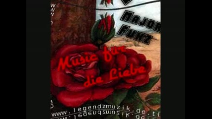 Music Fuer Die Liebe - Major Fukz