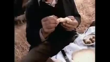 Enigma - Return to innocence 