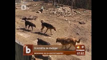да имаш за съседи 70 кучета