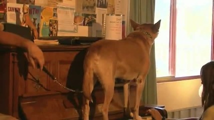 Динки - Невероятното пеещо куче 