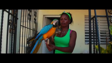 Dj Mam's Ft. Tony Gomez & Ragga Ranks - Hella Decale Remix 2013 ( Official Video )
