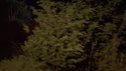 Ederlezi_ Time of the Gypsies - Goran Bregovic Emir Kusturica