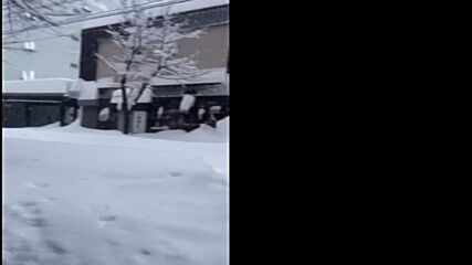 Северна Япония в снежен капан: Спрени полети, затрупани коли и затворени училища (ВИДЕО)