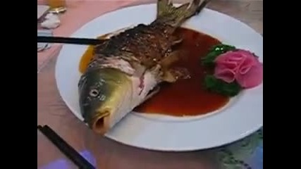 Случвало ли ви се е да ви сервират Жива риба за папкане :d 
