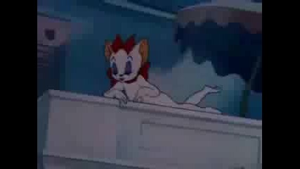 Tom Jerry Parodiq