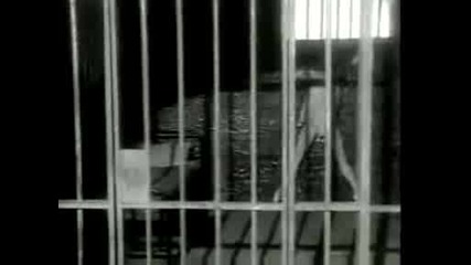 Every Time You Go Away Paul Young