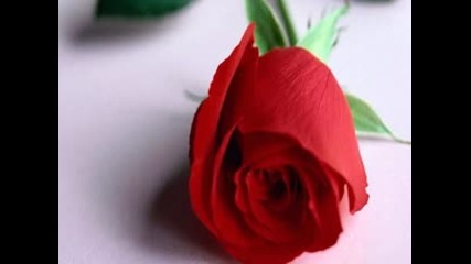 Alan Jackson Like Red on a Rose