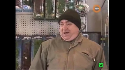 Голи и смешни голо котенце перфектния домашен любимец