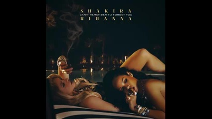*2014* Shakira ft. Rihanna - Can't remember to forget you ( Fedde Le Grand remix )