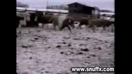 Невероятно Забавен Спорт