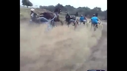 speed
