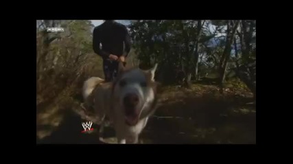 Wwe Edge and His Dogs