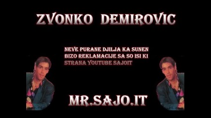 Zvonko Demirovic _15_ Tu Ijan Sar Vrteska - Sajo - It.wmv
