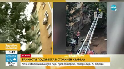 Дъжд от пари валя в столичния квартал "Борово"