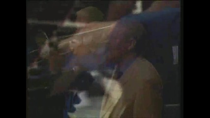 Papa Bue`s Viking Jazzband