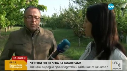 50 лева за килограм череши на пазара