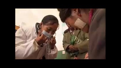 Rural Tibet medical centre - A Year in Tibet - Bbc Places & News 