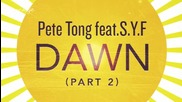 Pete Tong ft. S. Y. F. - Dawn ( Blond:ish Remix ) [high quality]