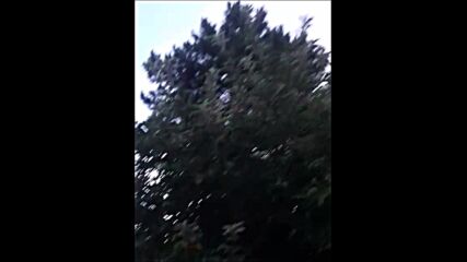 Ay Mucizesi.mp4