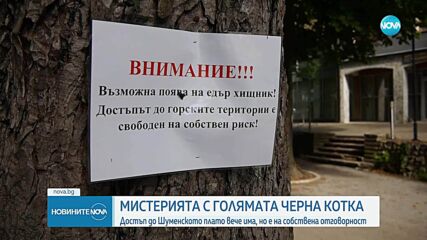 Мистерията с голямата черна котка продължава: Нови сигнали от Румъния и Ловешко