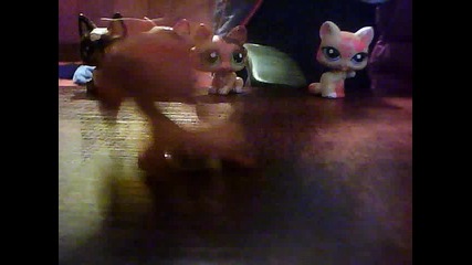 lps idol 3