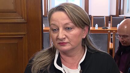 Деница Сачева: От инкубатора на политически партии имаме заявка за нов субект