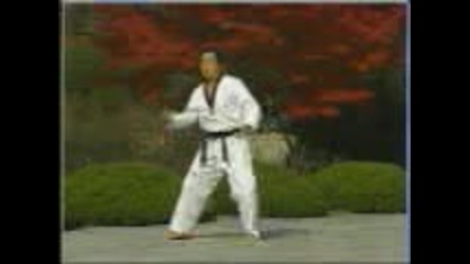 Wtf Taekwondo - Pyongwon (12 Poomse)