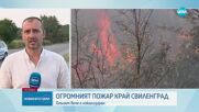 Пожарът в Свиленградско се разрасна на над 15 хиляди декара