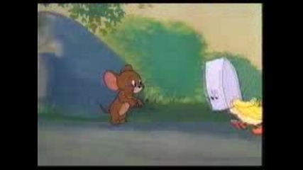 Tom Jerry 
