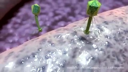 Medical animation