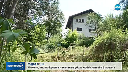 Новините на NOVA (10.06.2019 - следобедна емисия)