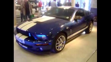 Ford Mustang Shelby Gt 500 Amsterdam Auto