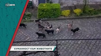 В "Социална мрежа" на 26 юни ще видите