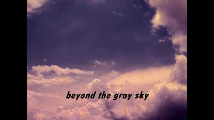 Beyond the gray sky - 311 