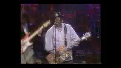 Bo Diddley - Im A Man Who Do You Love