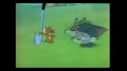 tom and jerry