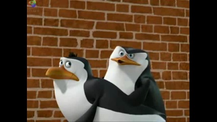 The Penguins Of Madagascar - Huffin And Puffin