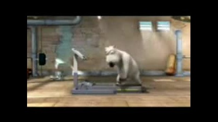 Бяла мечка - в фитнеса